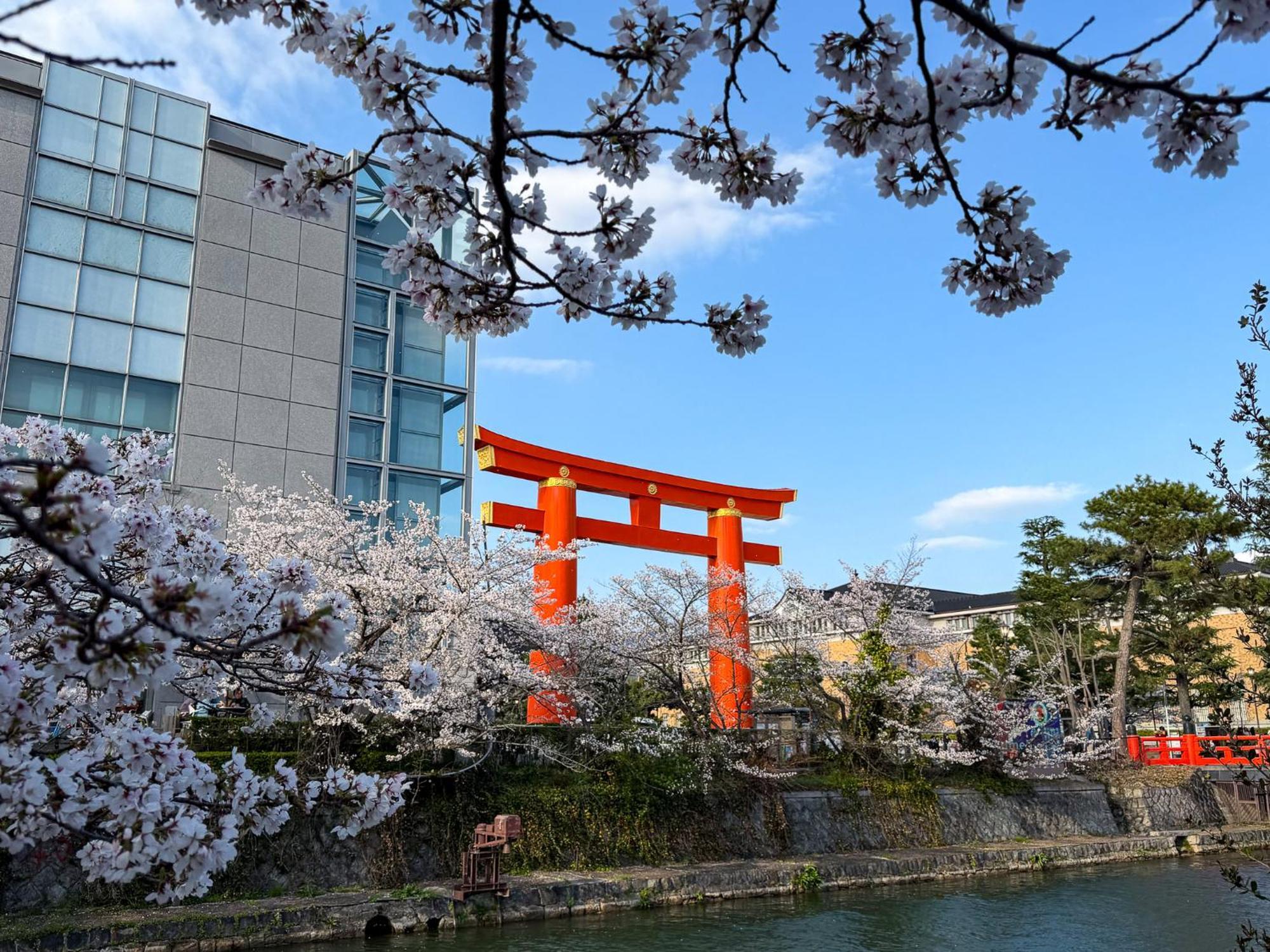 Rinn Niomon, Kyoto